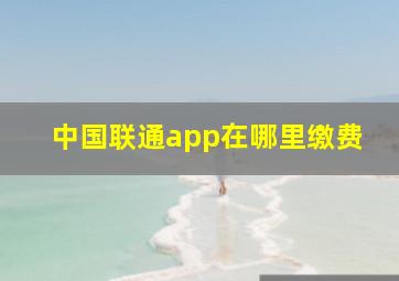 中国联通app在哪里缴费