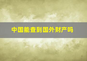 中国能查到国外财产吗