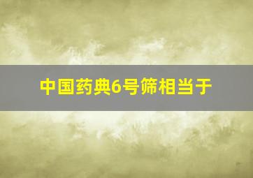 中国药典6号筛相当于