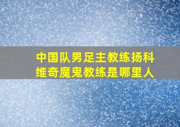 中国队男足主教练扬科维奇魔鬼教练是哪里人