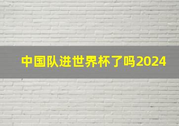 中国队进世界杯了吗2024