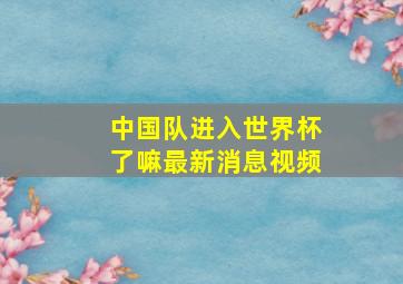 中国队进入世界杯了嘛最新消息视频