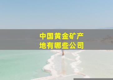 中国黄金矿产地有哪些公司