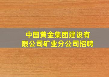 中国黄金集团建设有限公司矿业分公司招聘