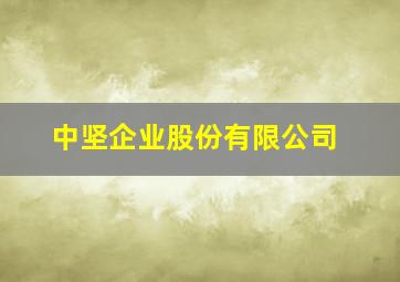 中坚企业股份有限公司