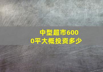 中型超市6000平大概投资多少