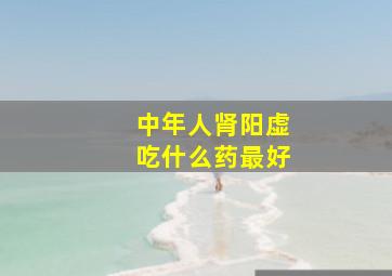 中年人肾阳虚吃什么药最好