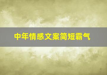 中年情感文案简短霸气