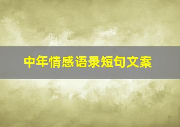 中年情感语录短句文案