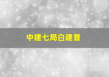 中建七局白建普