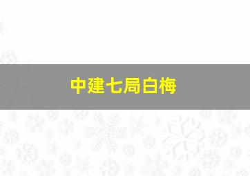 中建七局白梅