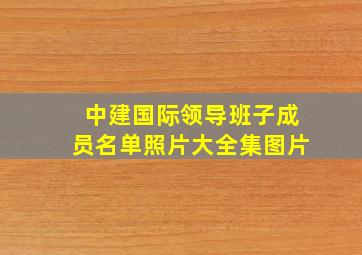 中建国际领导班子成员名单照片大全集图片