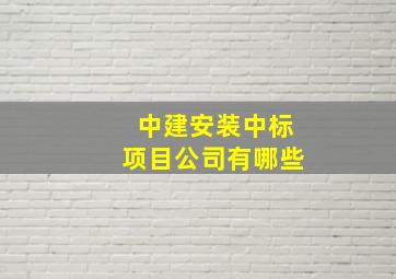 中建安装中标项目公司有哪些