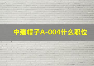 中建帽子A-004什么职位