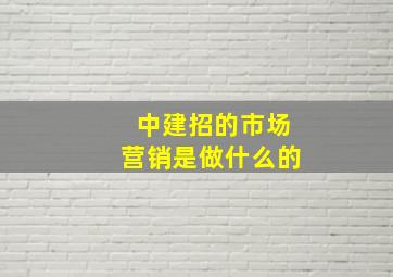 中建招的市场营销是做什么的