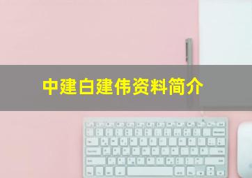 中建白建伟资料简介