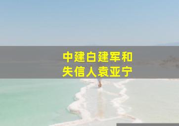 中建白建军和失信人袁亚宁