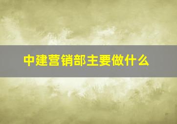 中建营销部主要做什么