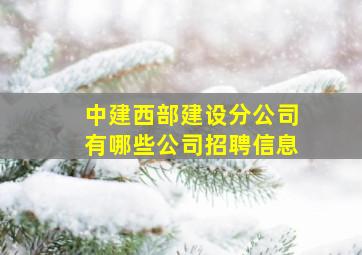 中建西部建设分公司有哪些公司招聘信息