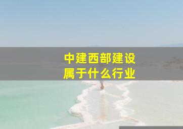 中建西部建设属于什么行业