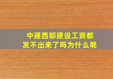 中建西部建设工资都发不出来了吗为什么呢