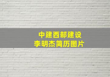 中建西部建设李明杰简历图片