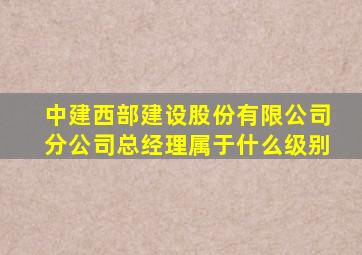 中建西部建设股份有限公司分公司总经理属于什么级别