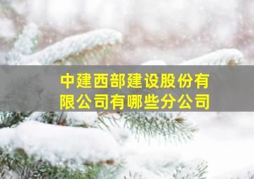 中建西部建设股份有限公司有哪些分公司