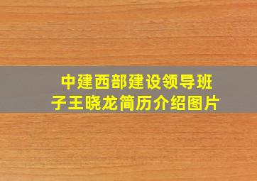 中建西部建设领导班子王晓龙简历介绍图片