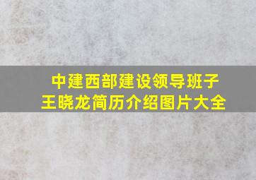 中建西部建设领导班子王晓龙简历介绍图片大全