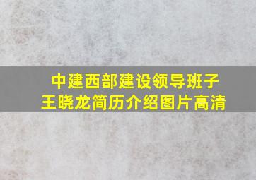 中建西部建设领导班子王晓龙简历介绍图片高清