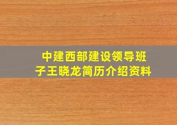 中建西部建设领导班子王晓龙简历介绍资料