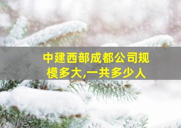 中建西部成都公司规模多大,一共多少人