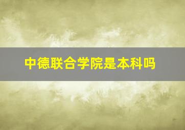 中德联合学院是本科吗