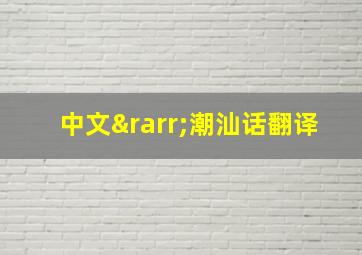 中文→潮汕话翻译