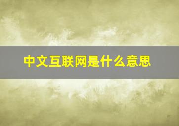 中文互联网是什么意思