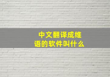 中文翻译成维语的软件叫什么