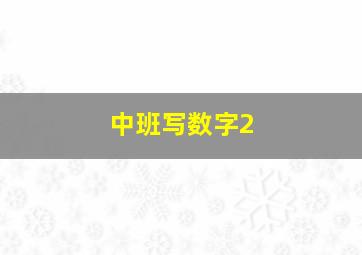 中班写数字2