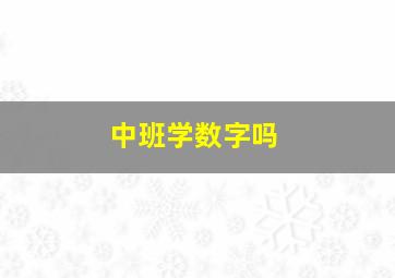 中班学数字吗