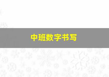 中班数字书写