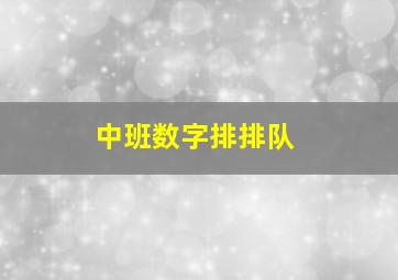 中班数字排排队