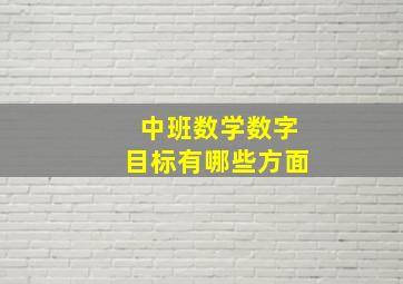 中班数学数字目标有哪些方面