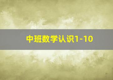 中班数学认识1-10