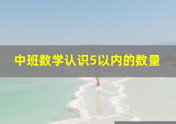 中班数学认识5以内的数量