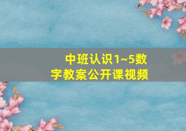 中班认识1~5数字教案公开课视频