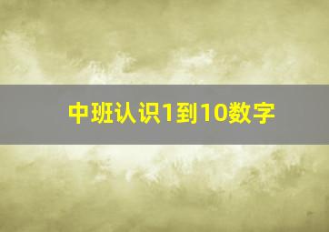 中班认识1到10数字