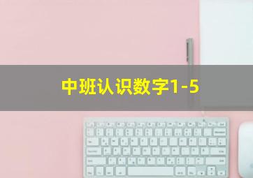 中班认识数字1-5