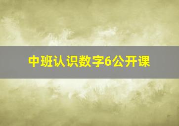 中班认识数字6公开课