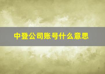 中登公司账号什么意思