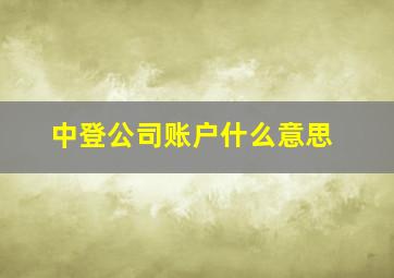 中登公司账户什么意思